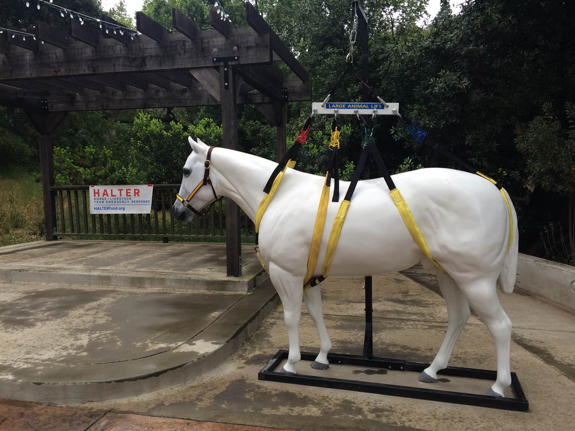 Technical Large Animal Rescue Commerical Lifts and Slings